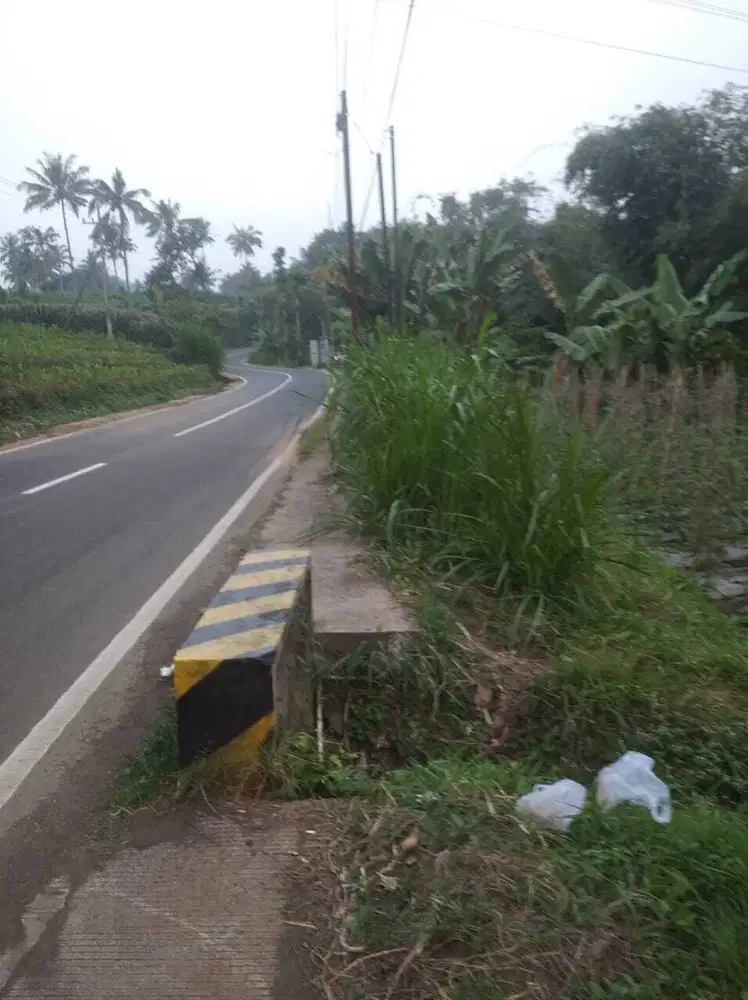 Tanah Produktif Poros Aspal Kampung Purwodadi Pasuruan