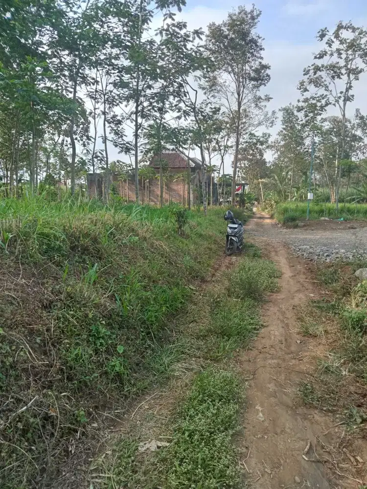 Tanah istimewa kedungrejo pakis malang