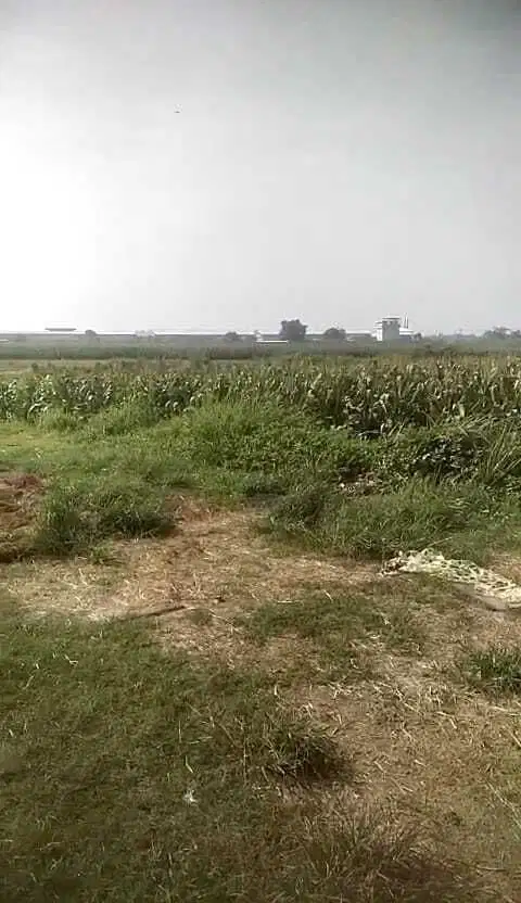 Tanah 5,6 HA harga 800 ribu permeter di Prambon, Kabupaten Sidoarjo