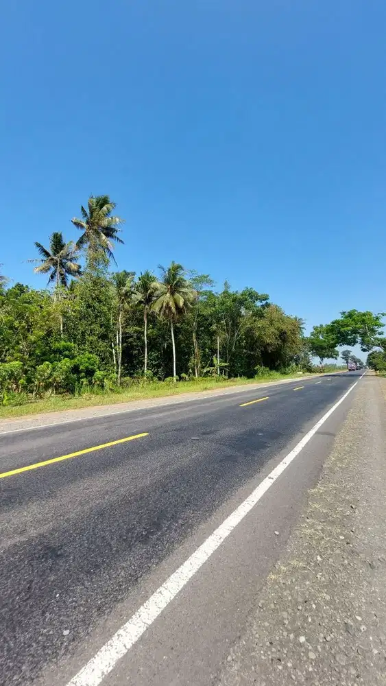 Tanah Strategis Murah di Purworejo Dekat Pelabuhan Adikarto