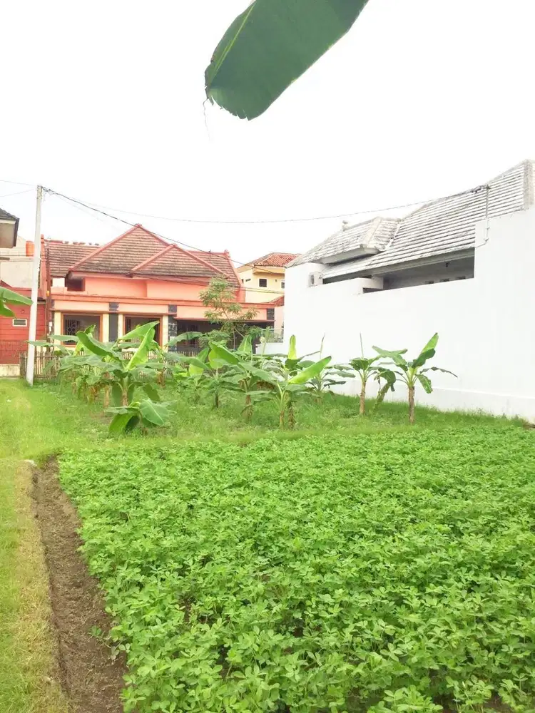 IDEAL Tanah Samping Rumah Mewah, Dekat  INTIS School, PLN Gedongkuning