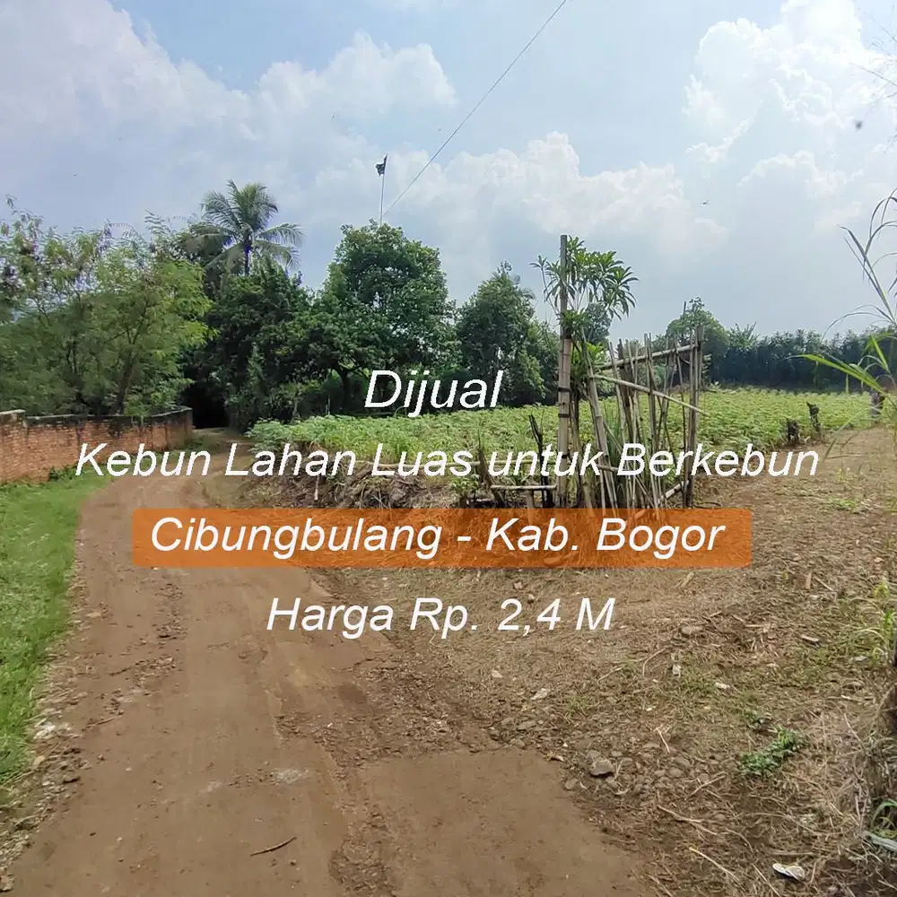 Dijual Rumah dan Lahan Luas Akses Aspal Masuk Mobil view Gunung Kapur