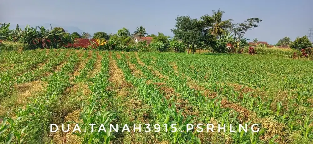 Dijual tanah luas matang pinggir jalan lokasi strategis dekat jalan nasional.