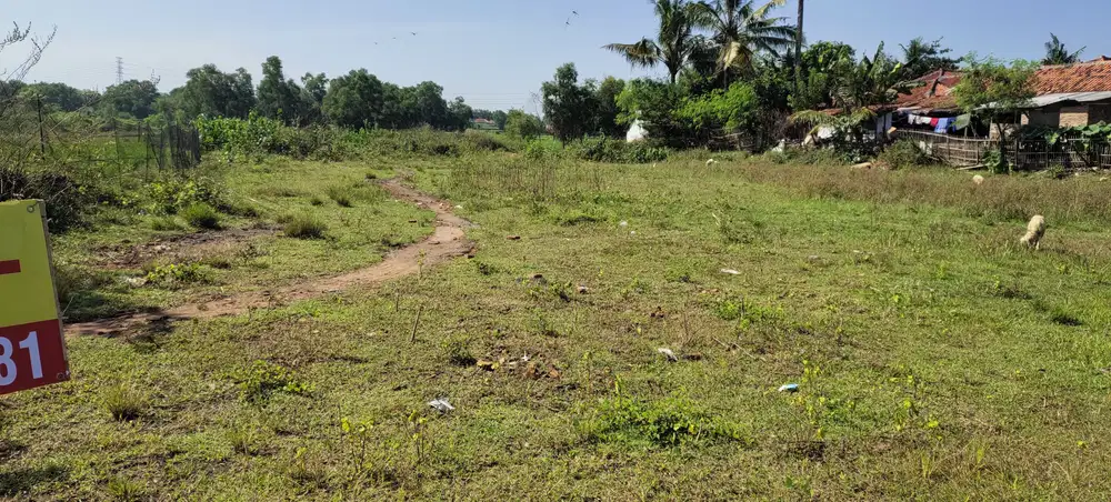 Disewakan Tanah Luas 6000 di Serang Baru Bekasi