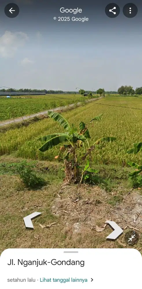 Lahan industri luas 50 HA harga 600 ribu permeter di Kabupaten Nganjuk