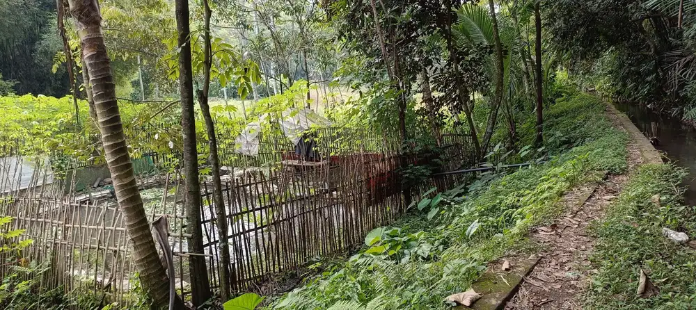 Tanah Pertanian dan Kolam Ikan Tajinan Malang