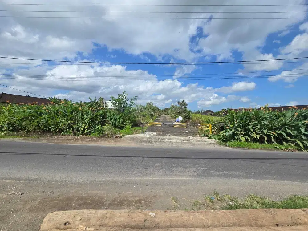 Tanah 5 Are di Pantai Kedungu Tabanan Dekat The Beach Love Tanah Lot