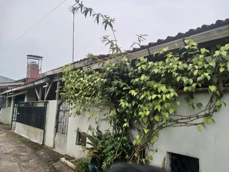 Rumah Asri di Daerah Atang Senjaya Kemang Bogor