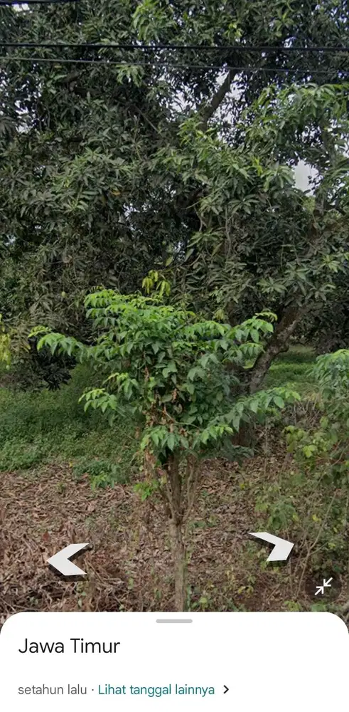 Lahan industri luas 4200 m2 harga 3 Milyar di Sidayu, Gresik