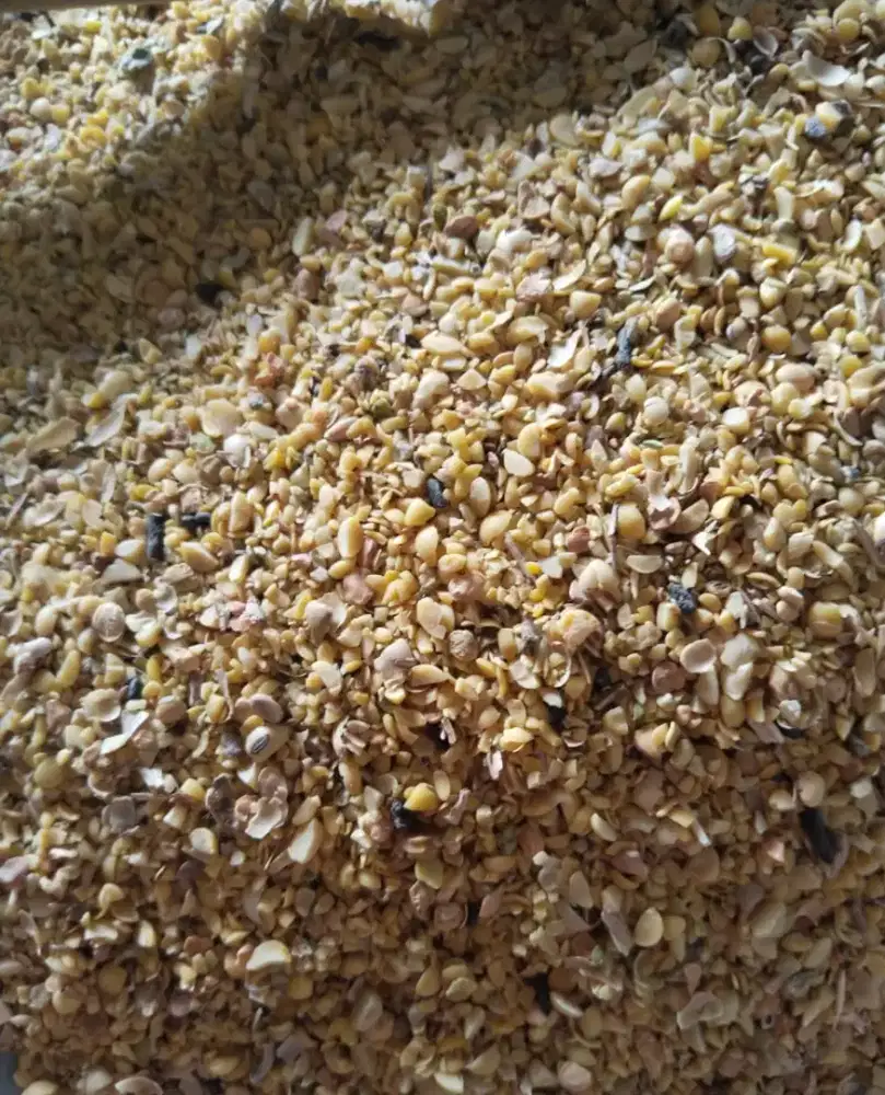 Menir ari kedelai pakan ternak