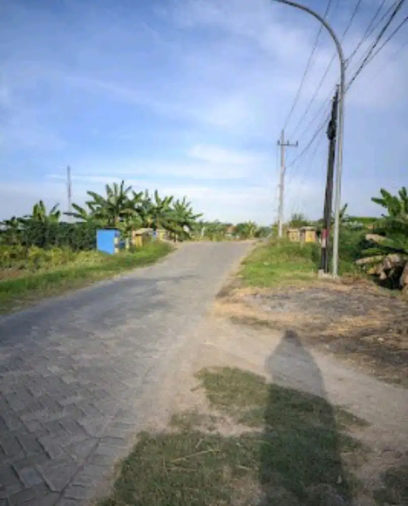 Tanah murah nol poros kabupaten 12 MTR sudah banyak tetangga