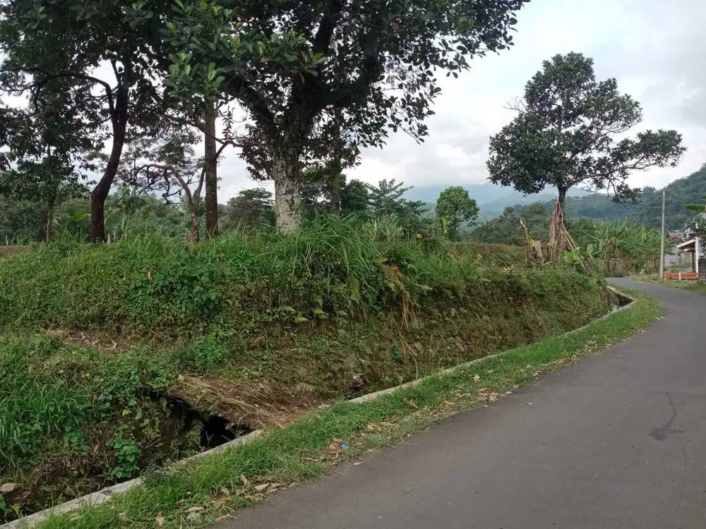 di jual tanah sawah air melimpah view gunung di pamijahan bogor