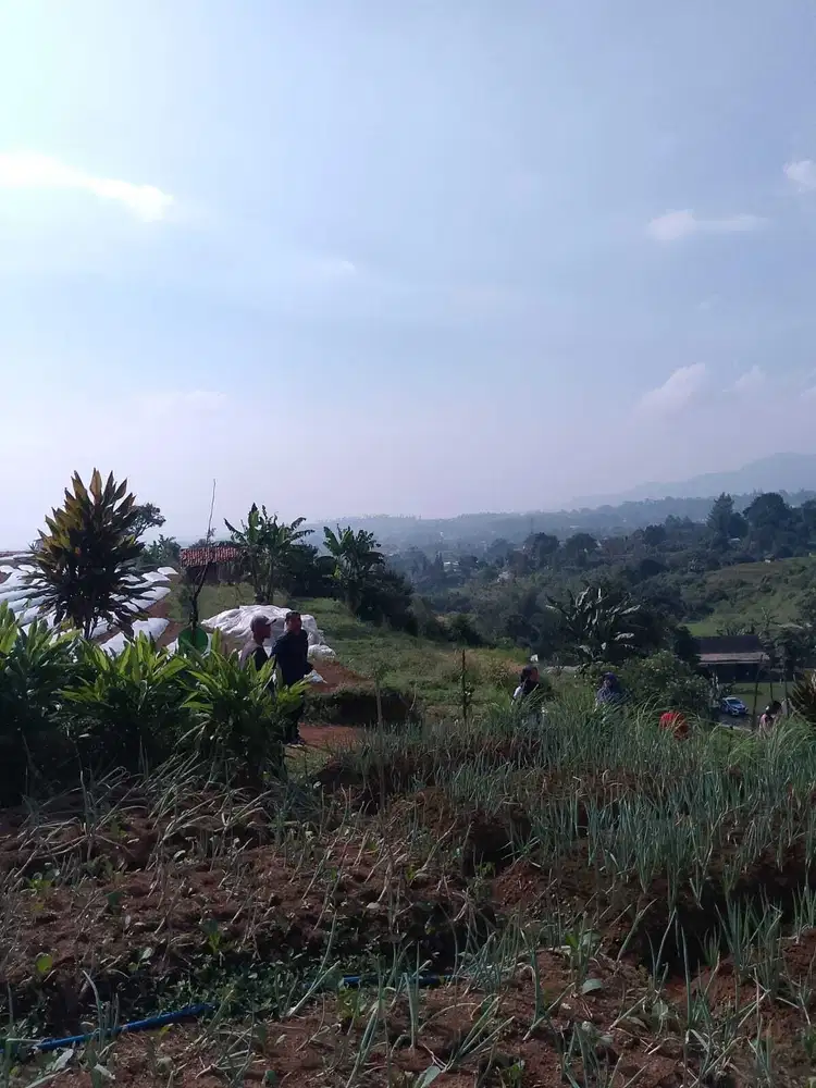 di jual lahan best view di megamendung