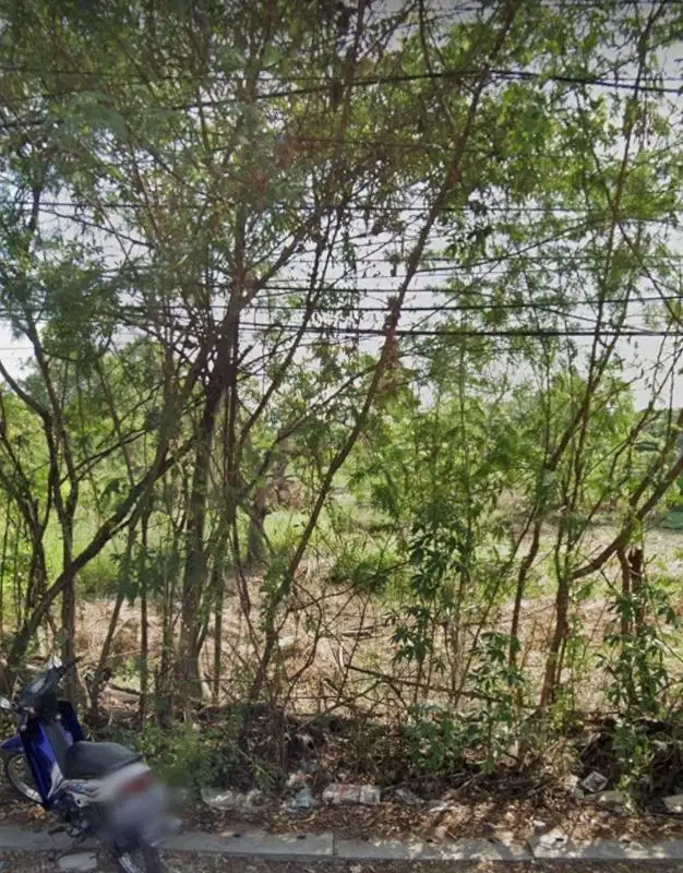 Disewakan Tanah Nol Jalan Sambikerep Lontar Surabaya Barat