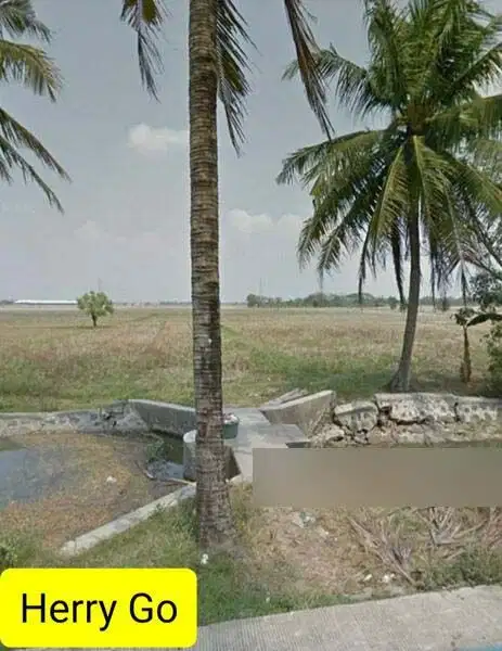 Tanah Murah Asik Desa Sukamanah Sukahurip Cikarang