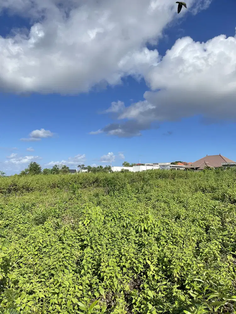 TANAH MURAH DI BALI