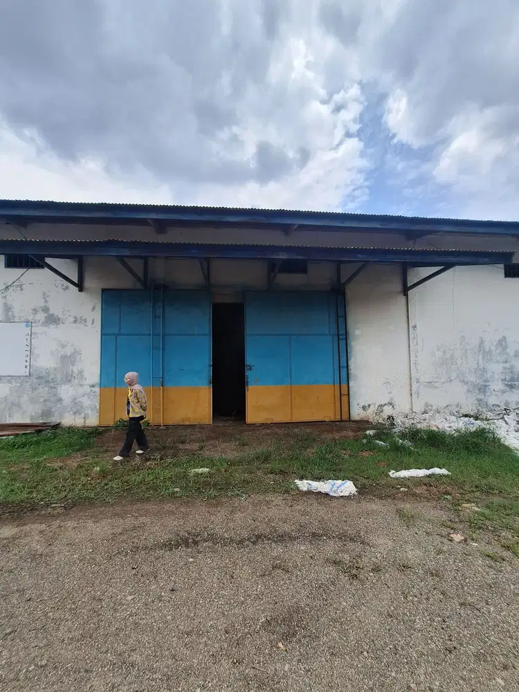 Sewa Gudang Prengsewu Lampung