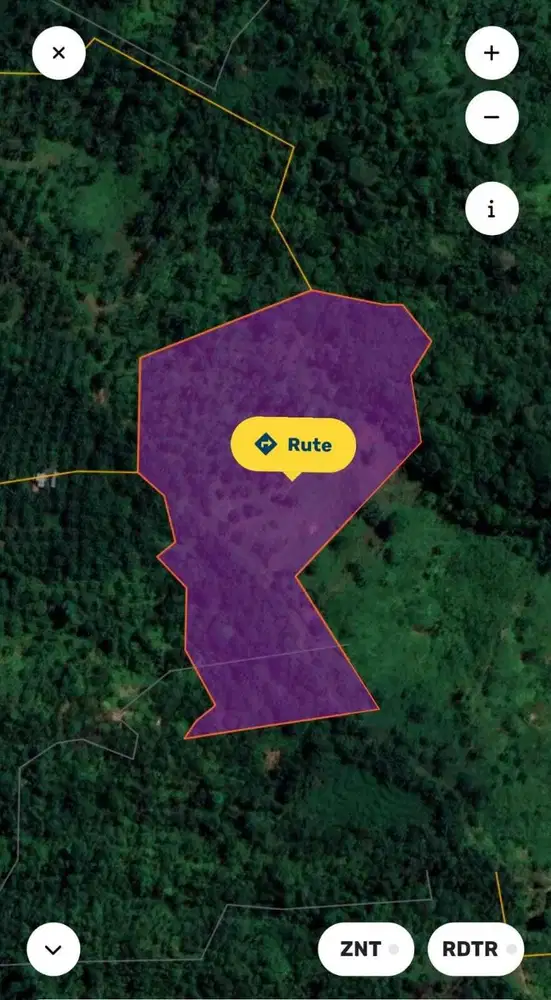 Dijual Lahan Kebun Sawit 3,1 Hektar – Aceh Tamiang