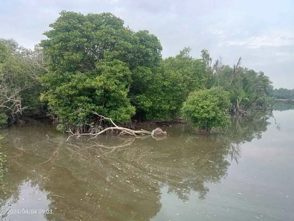 Di jual lahan / kolam tambak luas 68 H, Percut