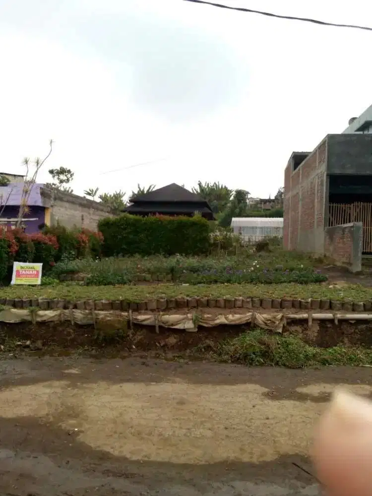 Tanah Kosong Cocok Buat Villa Atau Rumah di Lembang