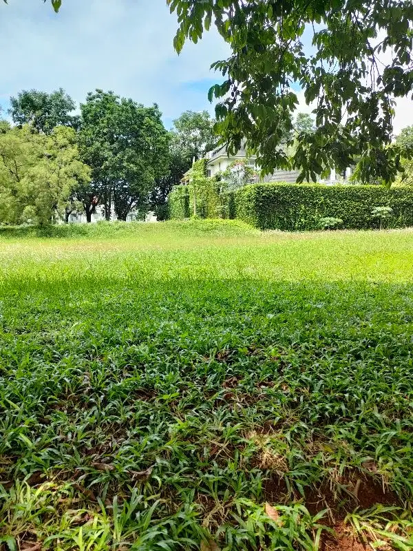 Bukit Menteng Kaveling Bintaro Jaya jual cepat