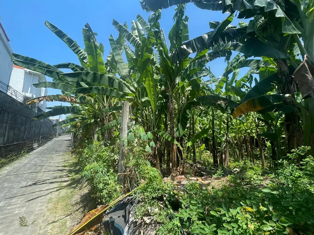 Tanah Strategis 400m dari Pantai Batu Belig