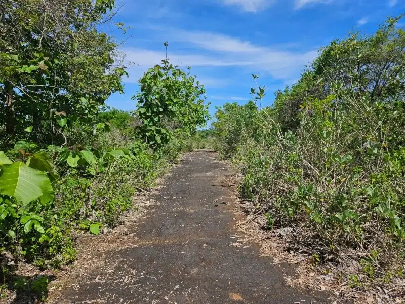 Tanah lingkungan villa mewah di Jimbaran, Akses jalan 7 meter