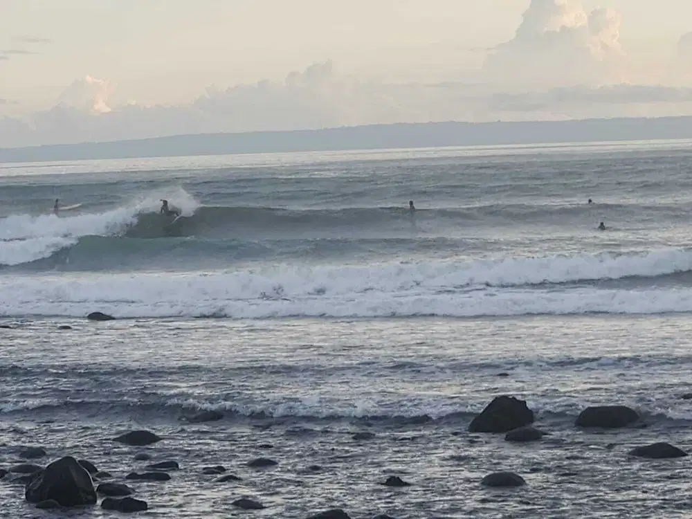 Tanah Los Pantai Medewi 1Ha Cocok Resort atau Hotel