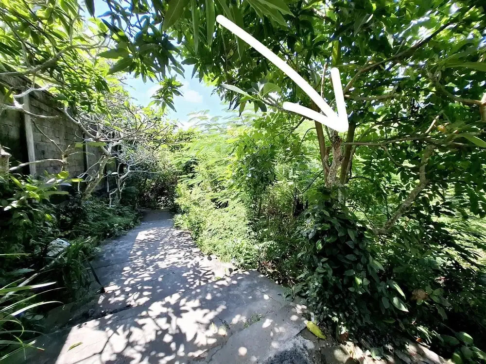 Tanah Langka 150 Meter dari Pantai Suluban, Uluwatu - Thumbnail 5
