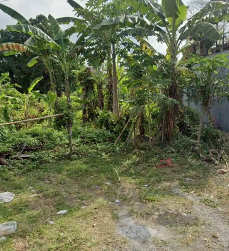 Tanah Murah View Jungle di Sekar Sari Penatih Denpasar