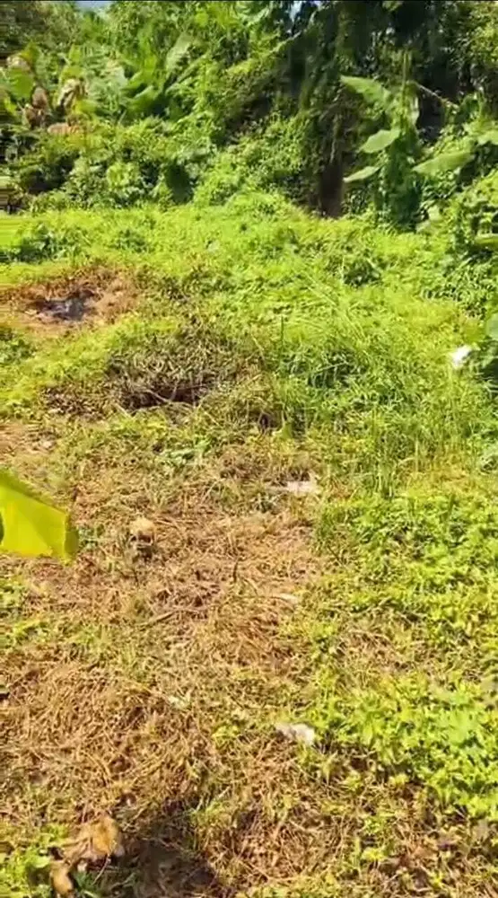 Tanah Los Sungai Lingkungan Resort di Tegallalang Gianyar Bali