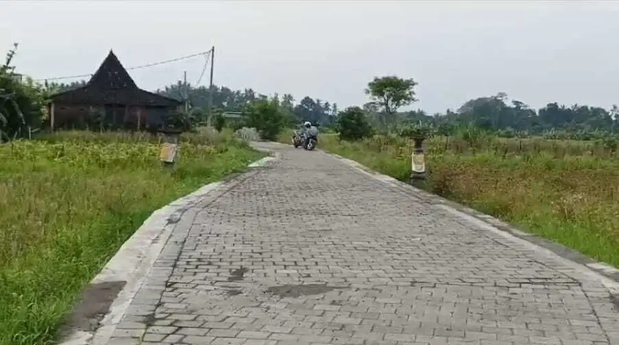 Tanah View Sawah di Ubud Gianyar, Cocok untuk Villa atau Investasi