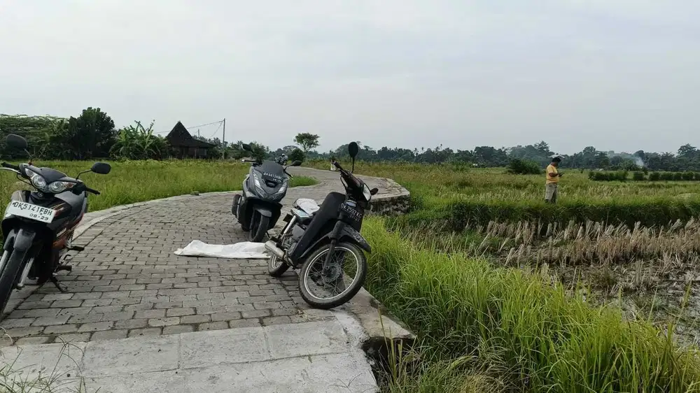 Tanah View Sawah di Ubud Gianyar, Cocok untuk Villa atau Investasi - Thumbnail 4