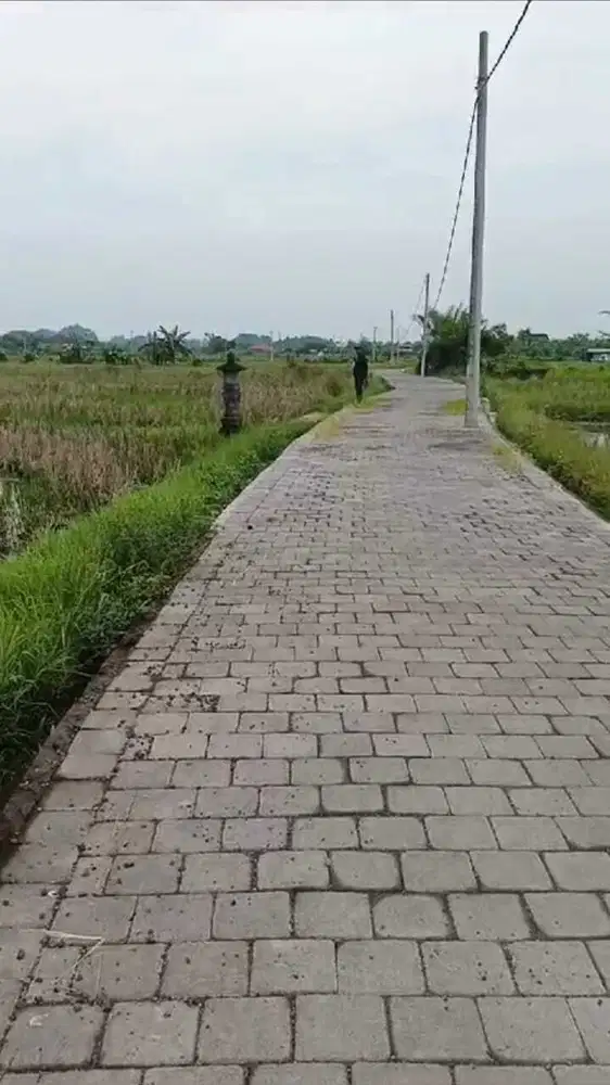 Tanah View Sawah di Ubud Gianyar, Cocok untuk Villa atau Investasi - Thumbnail 2
