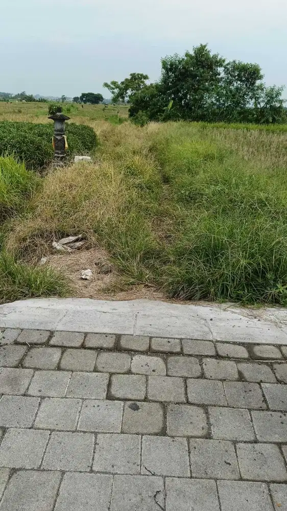 Tanah View Sawah di Ubud Gianyar, Cocok untuk Villa atau Investasi - Thumbnail 7