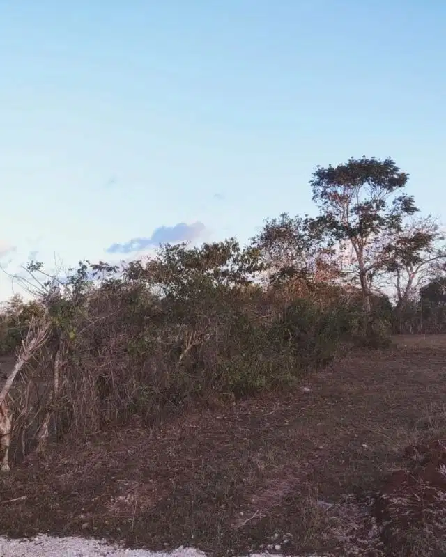 Tanah bentuk kotak di jalan pantai Pandawa, Nusa dua