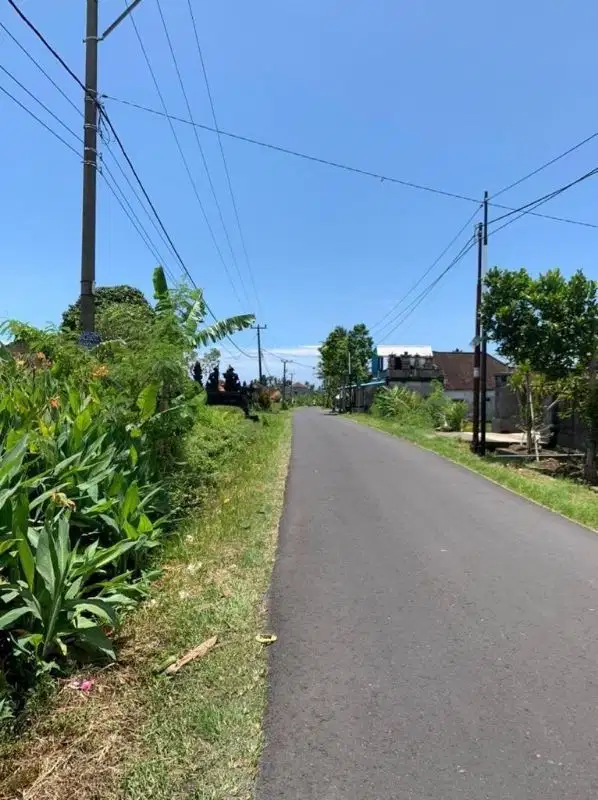 Sisa 1 Kavling Tanah View Sawah di Pantai Kedungu, Tabanan