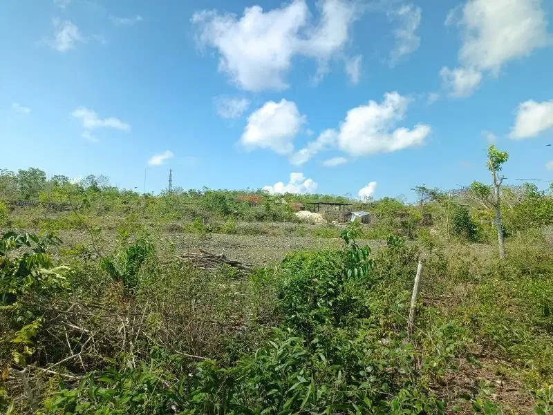Tanah datar view laut di Jimbaran, akses jalan 7 meter
