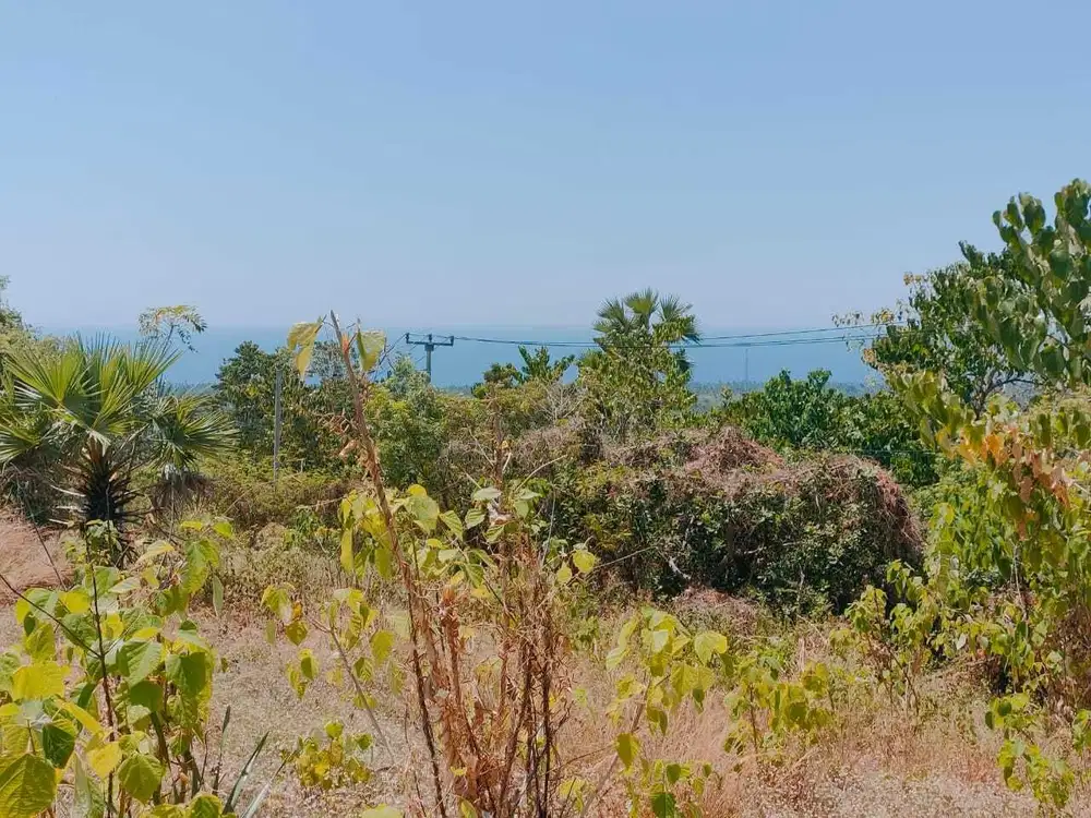 Tanah Luas Full Ocean View di Tianyar Karangasem Bali