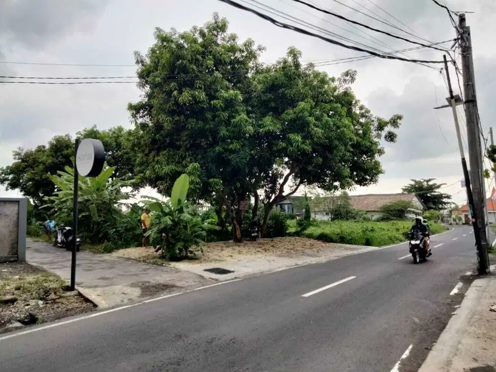Tanah 1185m2 Komersil View Sawah di Canggu Bali