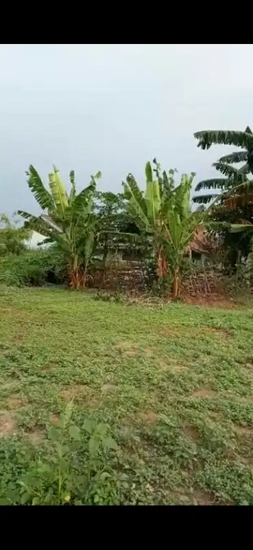 Dijual Tanah di pinggir jalan raya Serang Balaraja