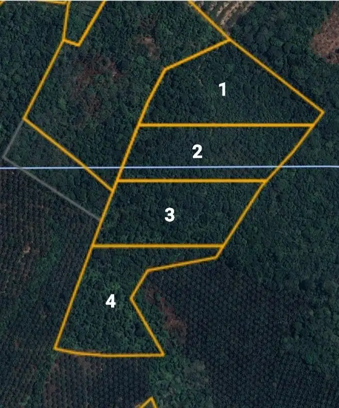 Tanah Murah Kebun di Sungai Bertam