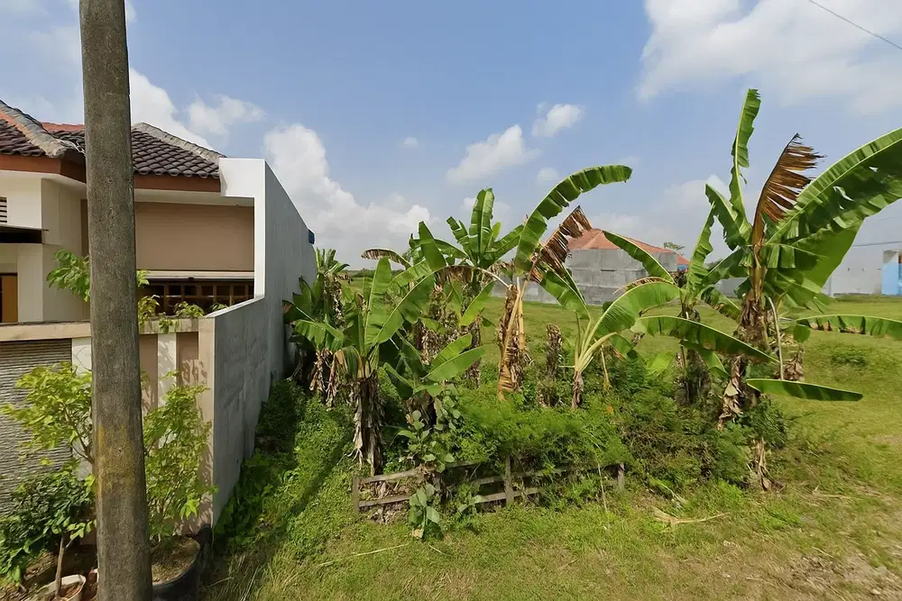 Dijual Tanah 350 m di Desa Kentong Kapuan Ngloram Blora