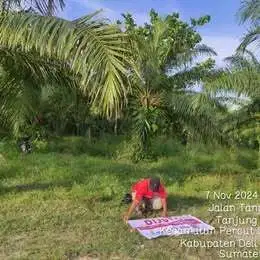 Disewakan atau Dijual lahan murah (Eks Purba)