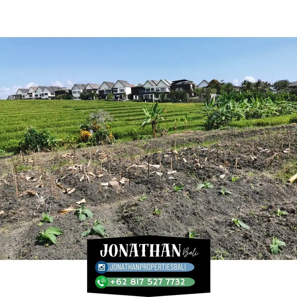 DIJUAL / FREEHOLD : TANAH PANTAI CEMAGI - Lskhe