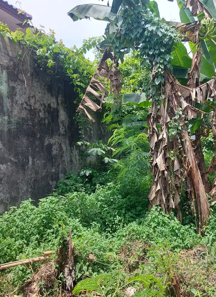 Jual Tanah  Murah samping Toll jagorawi Kav DPRD DKI Cibubur