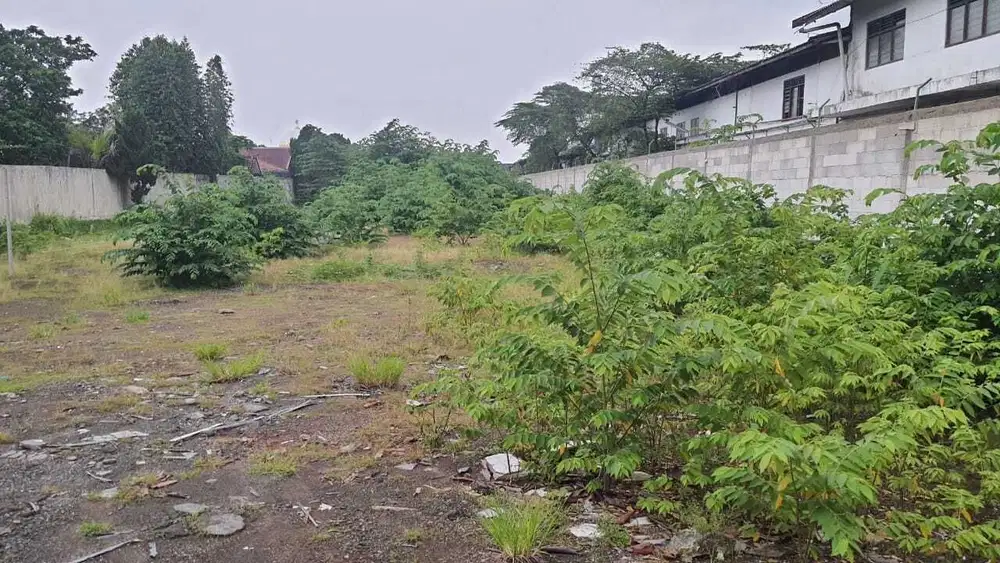 Tanah dijual bagus, cocok usaha, jalan lebar