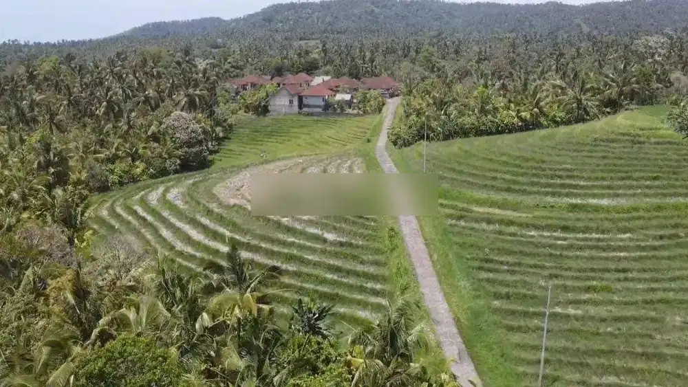 tanah full view laut abadi dan terasering sawah akses jalan 5 meter
