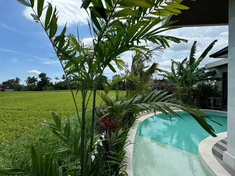 Luxury villa view sawah di Ubud, 2 kamar tidur akses jalan 5 meter