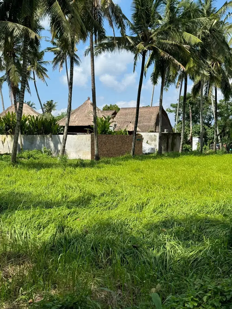 Tanah Strategis di Ubud 500m2 Sudah Tembok Keliling